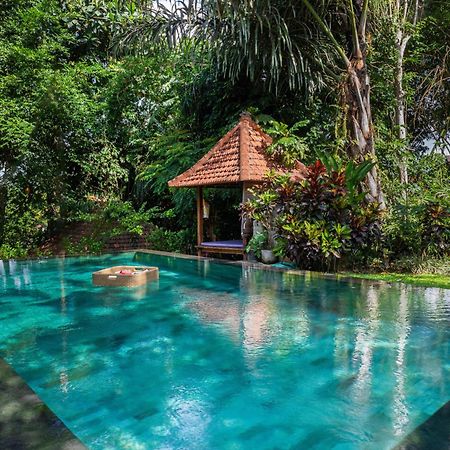 Sari Bamboo Villas Ubud Exteriör bild
