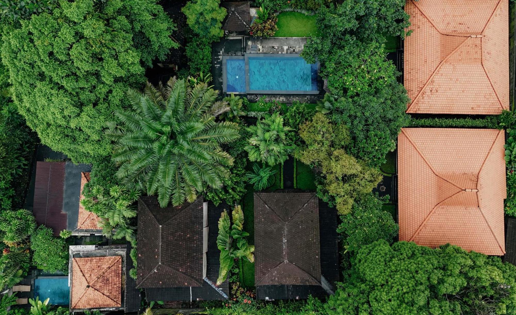 Sari Bamboo Villas Ubud Exteriör bild